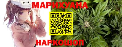 прущие крисы Будённовск