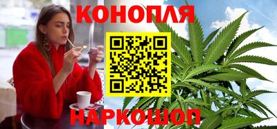 прущие крисы Будённовск