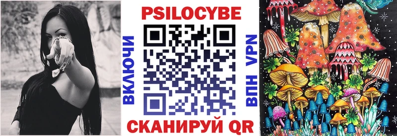 цены   kraken как войти  Псилоцибиновые грибы Magic Shrooms  Знаменск 