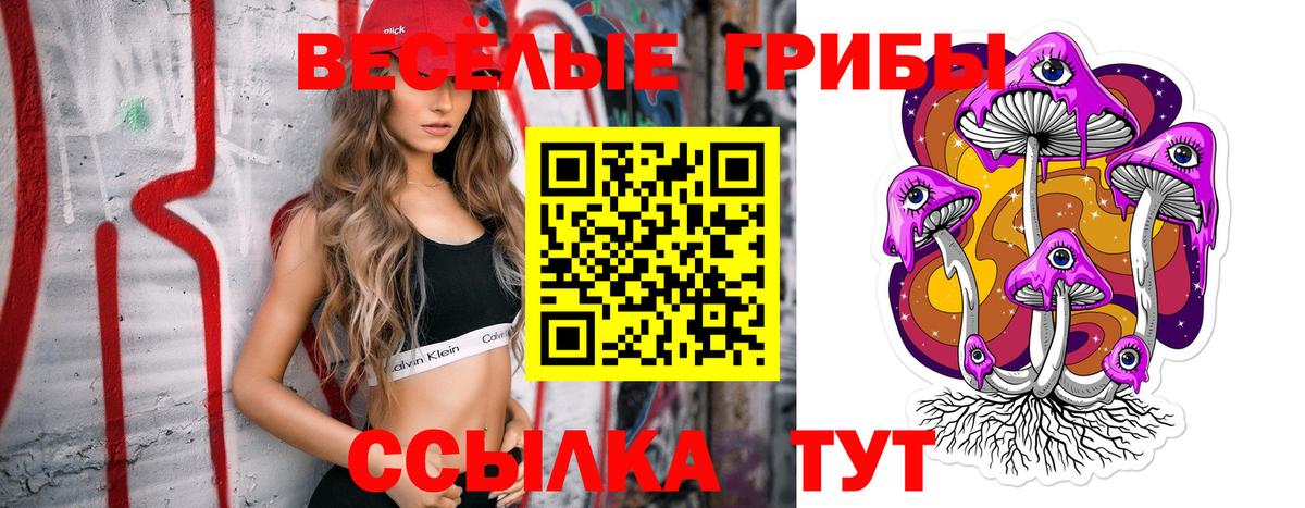 Галлюциногенные грибы Psilocybe Знаменск