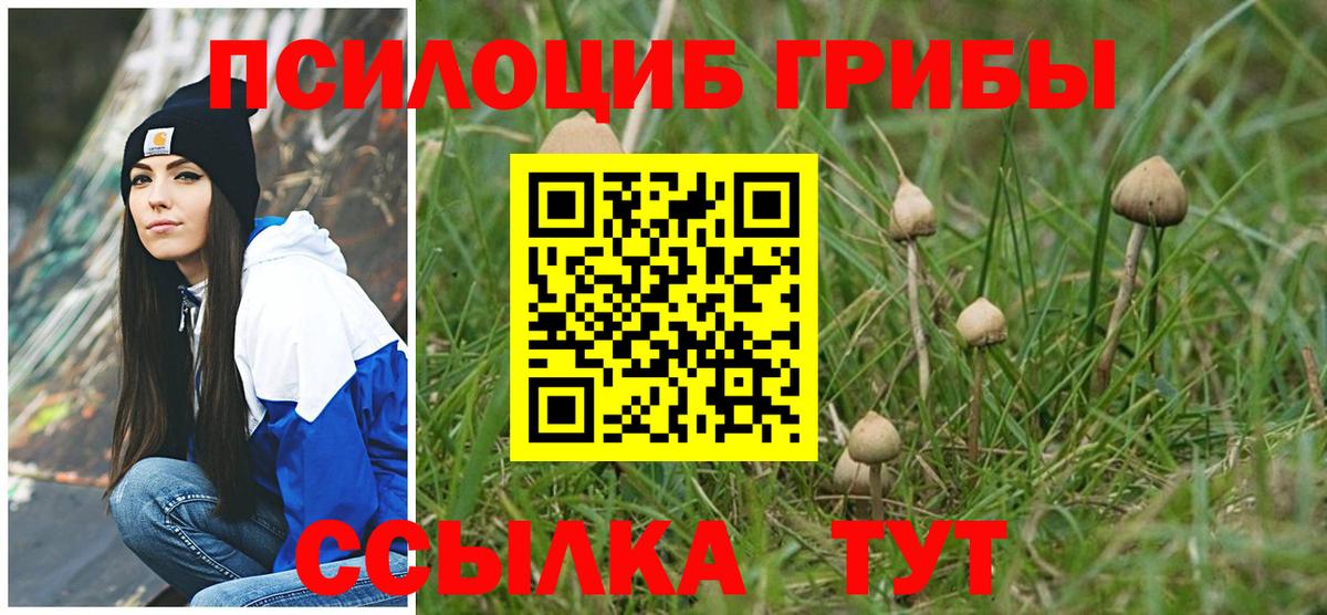 Знаменск  Галлюциногенные грибы MAGIC MUSHROOMS  Вход с VPN 